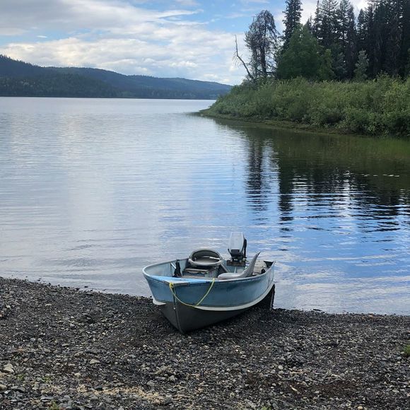 Meet your Posher, Gena - Picture 1 of 1